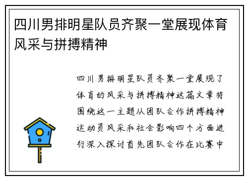四川男排明星队员齐聚一堂展现体育风采与拼搏精神
